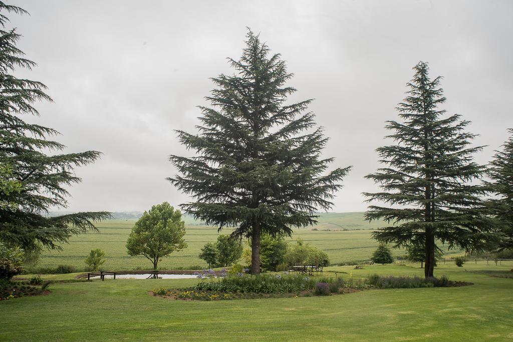 Glen Ormond Country House Henburg Park المظهر الخارجي الصورة