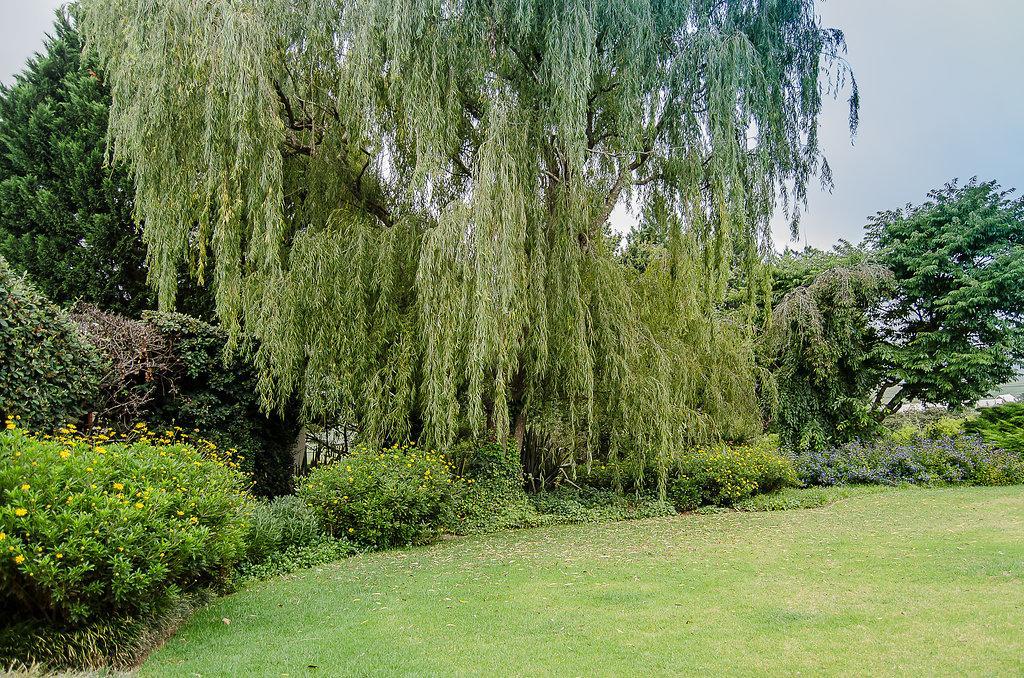 Glen Ormond Country House Henburg Park المظهر الخارجي الصورة